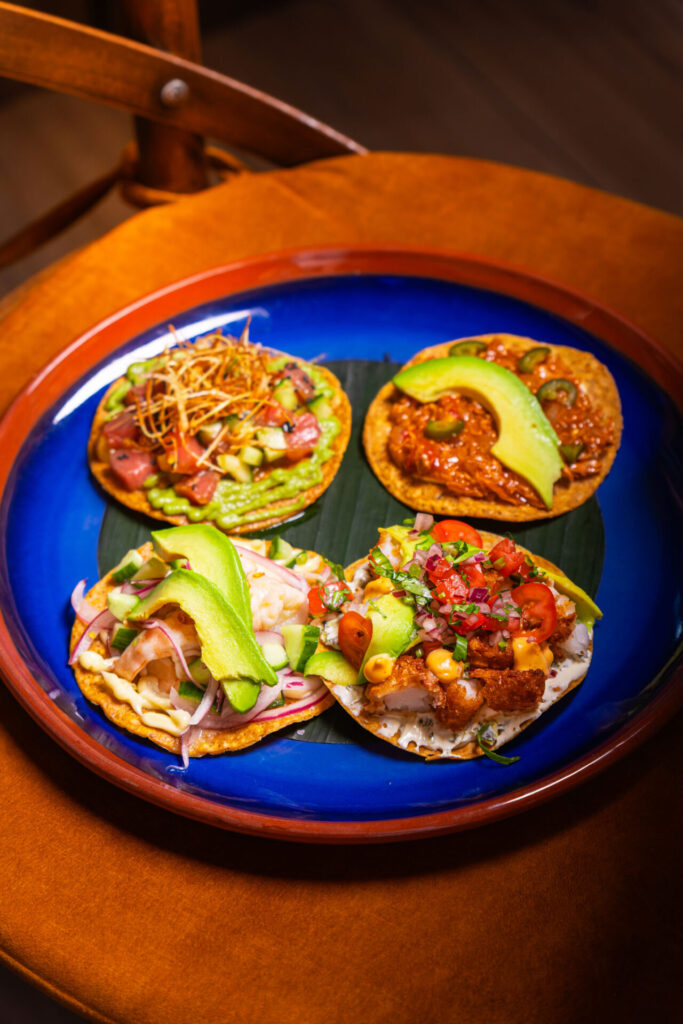 MINI TOSTADAS MIX
